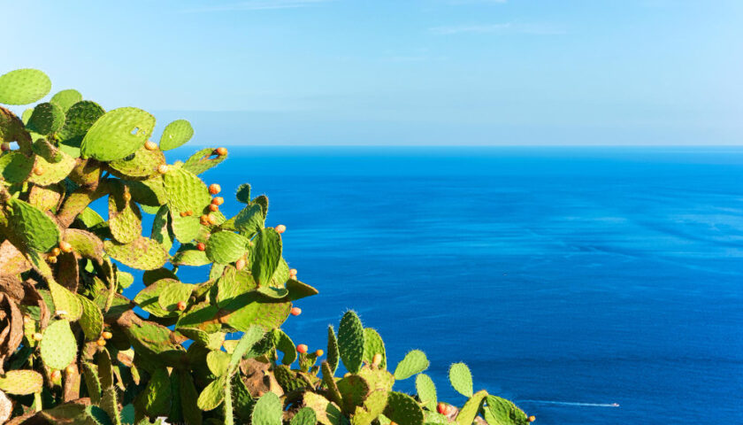 Vue sur mer en sicile