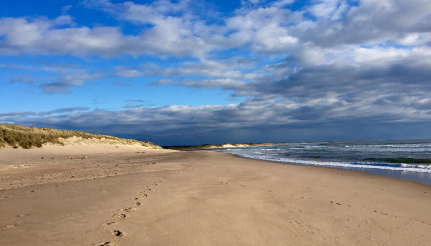 plage de sable avec trace de pied
