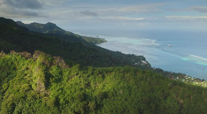 paysage de la réunion