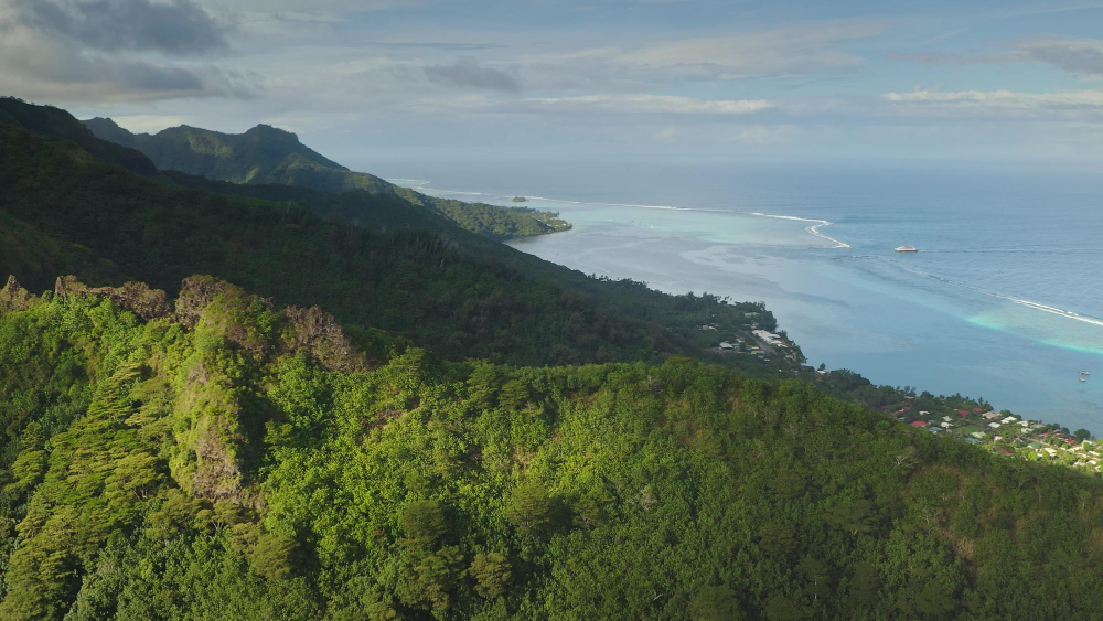paysage de la réunion