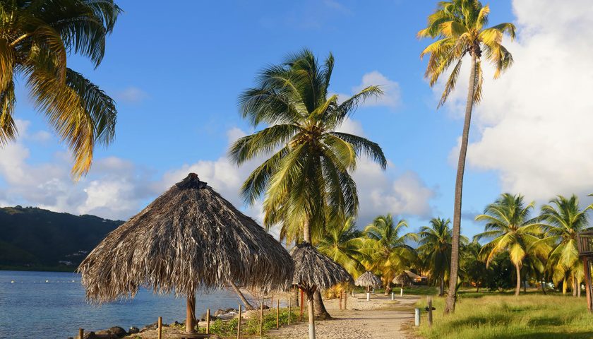Paysage de Martinique