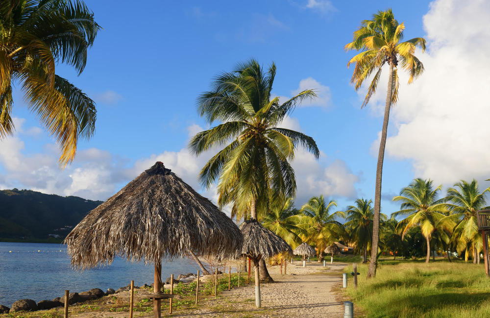 Paysage de Martinique
